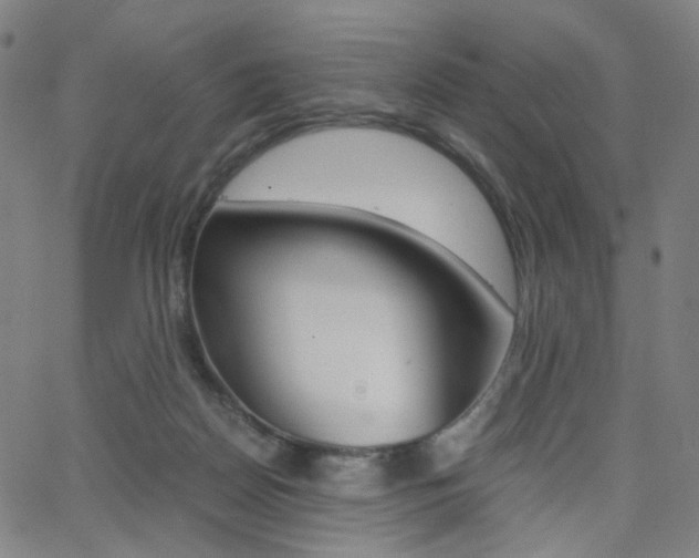 X0000062800170200512221115