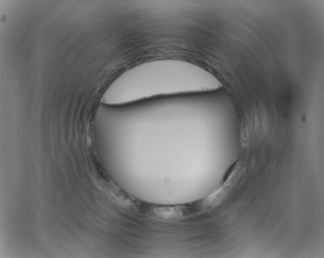 X0000062800187200512221116
