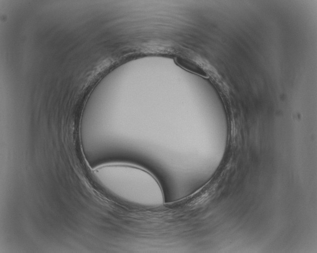 X0000062800201200512221115