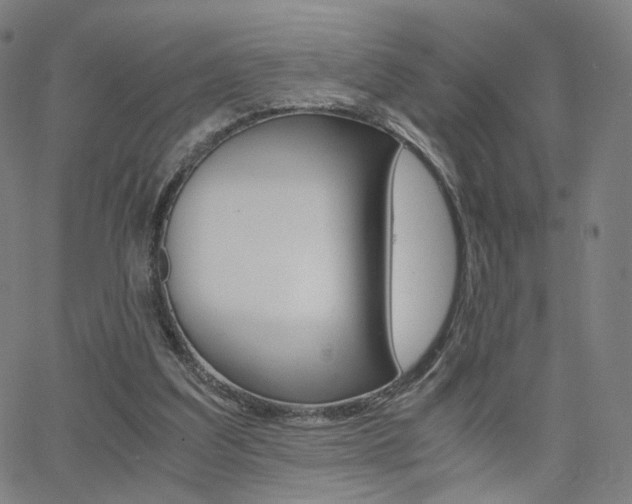X0000062800203200512221115