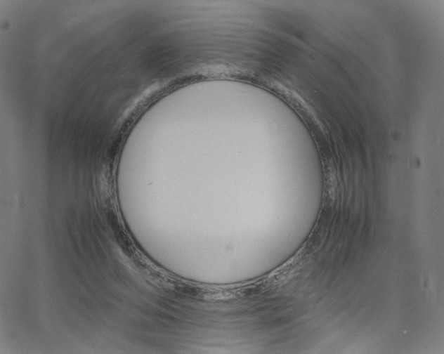 X0000062800208200512221115
