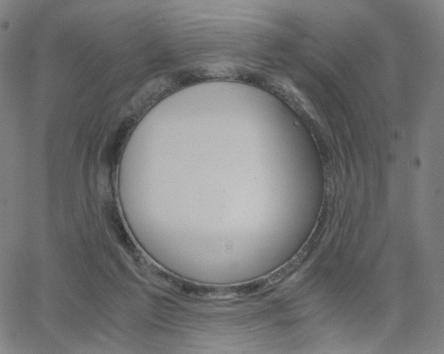 X0000062800213200512221115