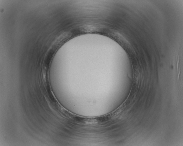 X0000062800214200512221115