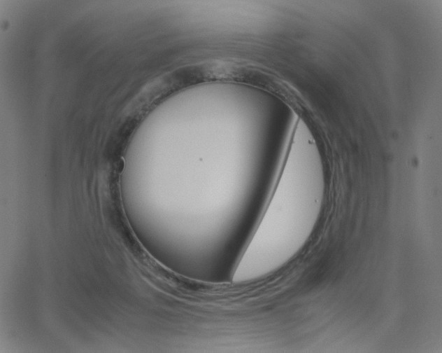 X0000062800217200512221115