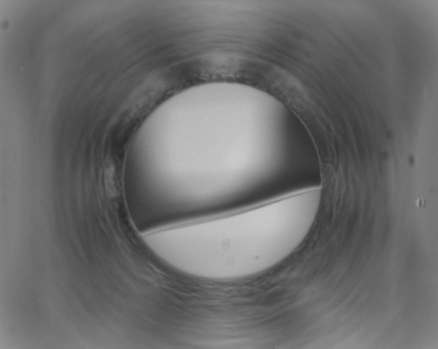 X0000062800224200512221114