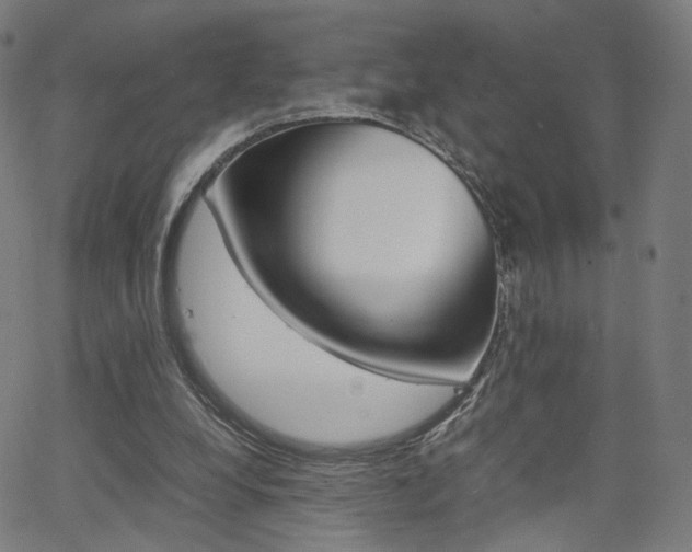 X0000062800248200512221114