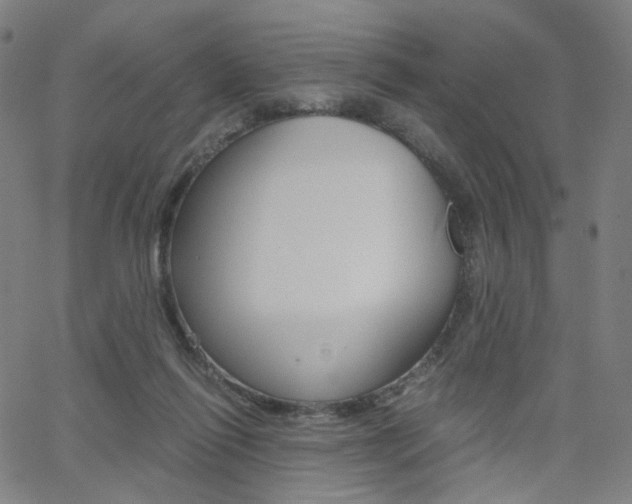 X0000062800262200512221114