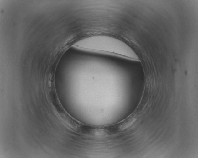 X0000062800264200512221114