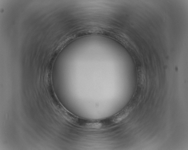 X0000062800266200512221114