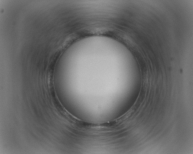 X0000062800268200512221114