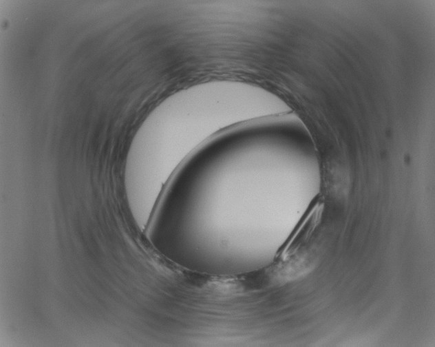 X0000062800280200512221114