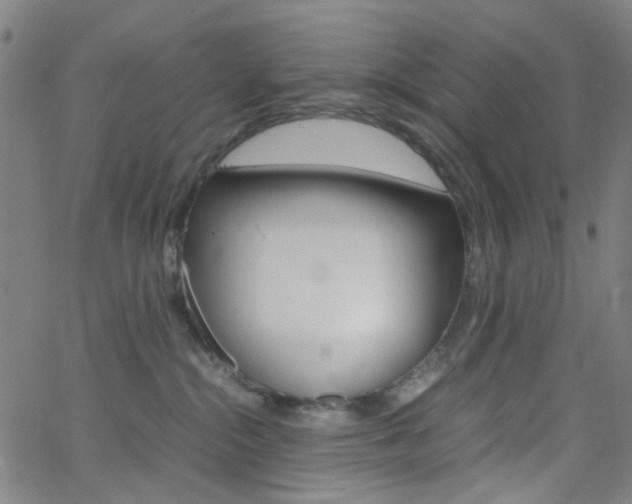 X0000062800284200512221114