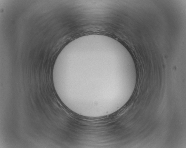 X0000062800288200512221114