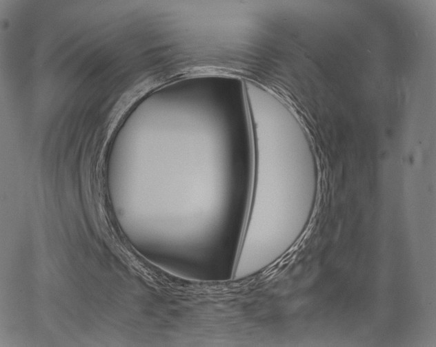 X0000062800289200512221113