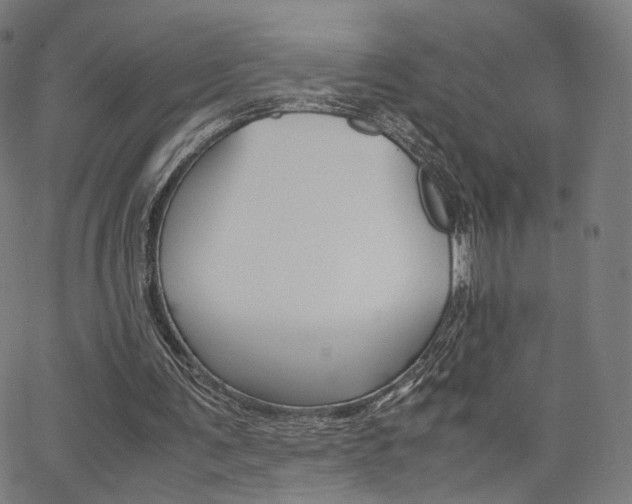 X0000062800291200512221113