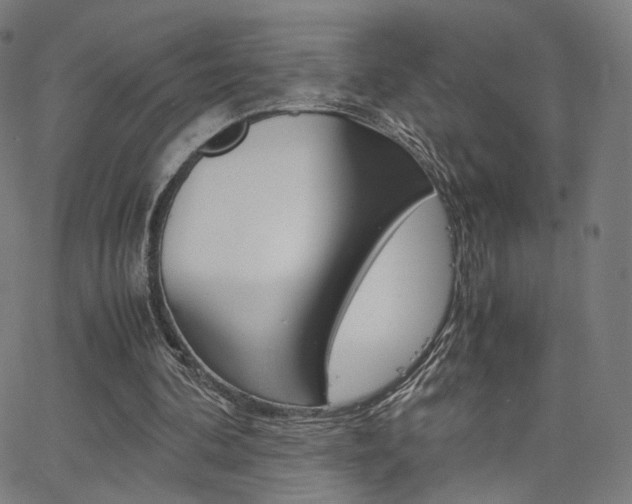 X0000062800292200512221113