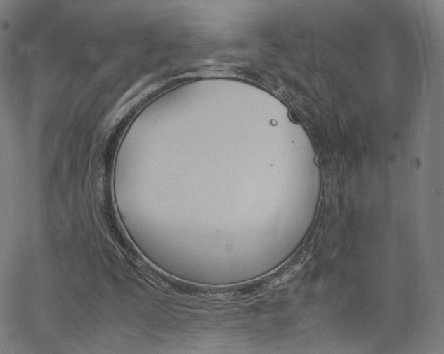X0000062800295200512221113