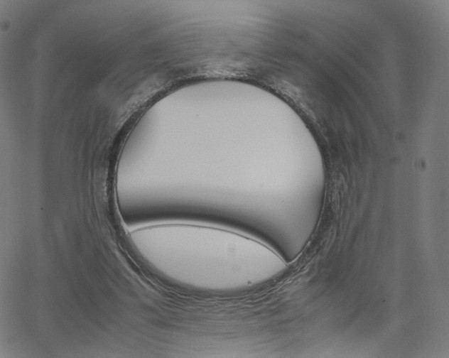 X0000062800299200512221113