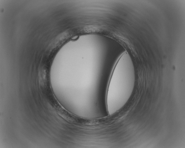 X0000062800308200512221113
