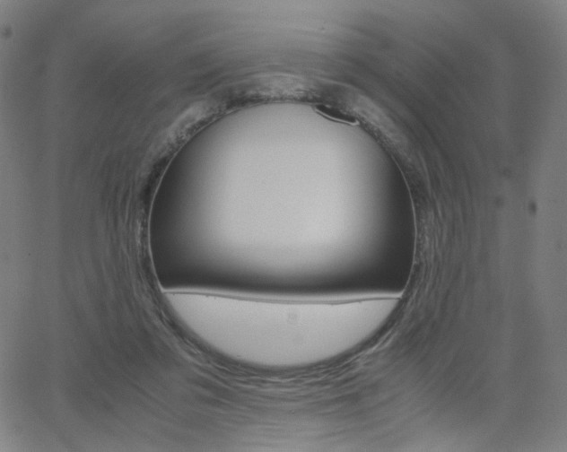 X0000062800309200512221113