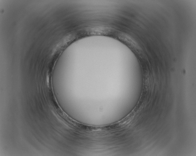 X0000062800310200512221113