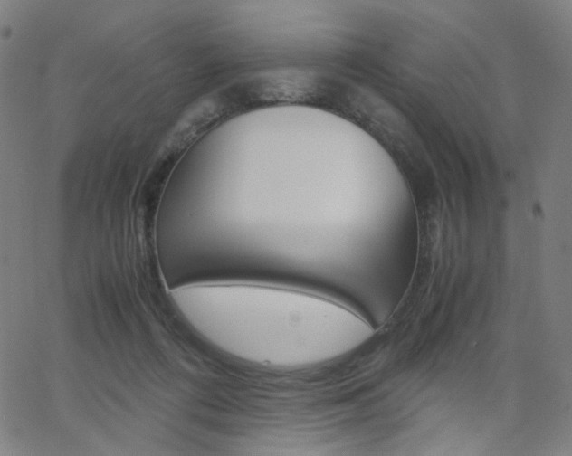 X0000062800312200512221113