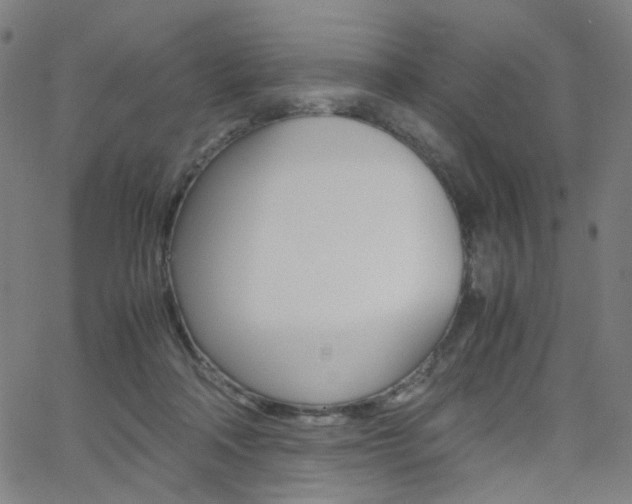 X0000062800314200512221113