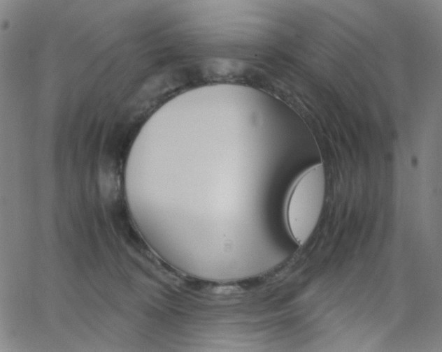 X0000062800324200512221113