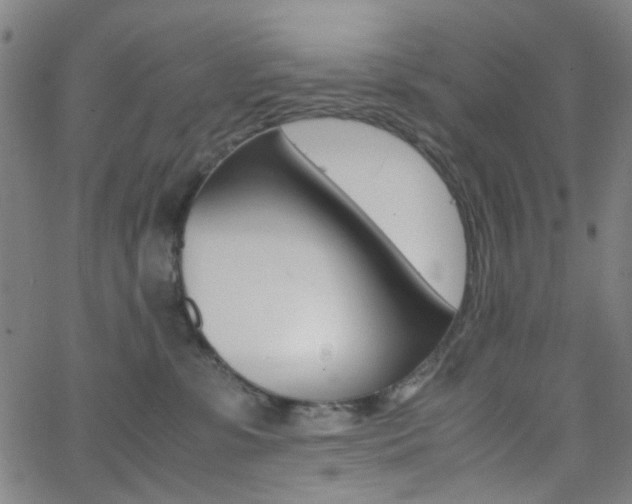X0000062800331200512221113