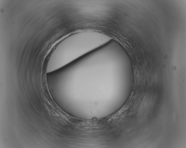 X0000062800338200512221112