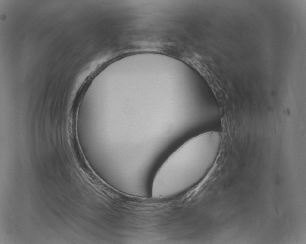 X0000062800342200512221112