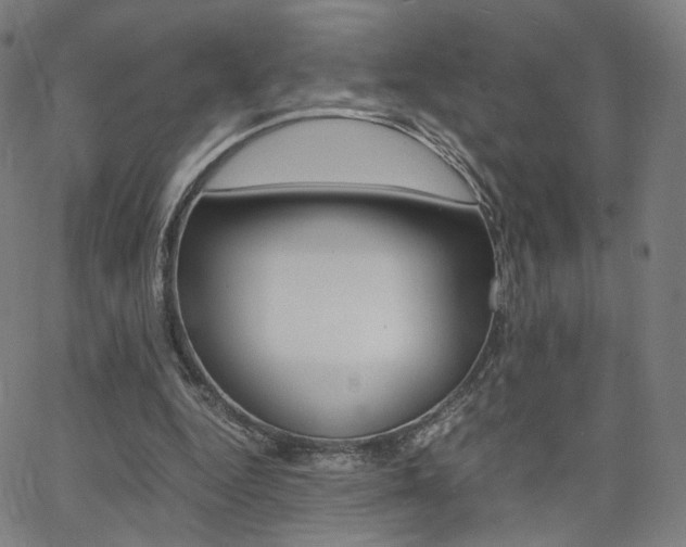X0000062800344200512221112