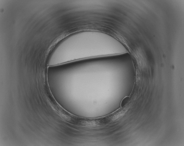 X0000062800349200512221112