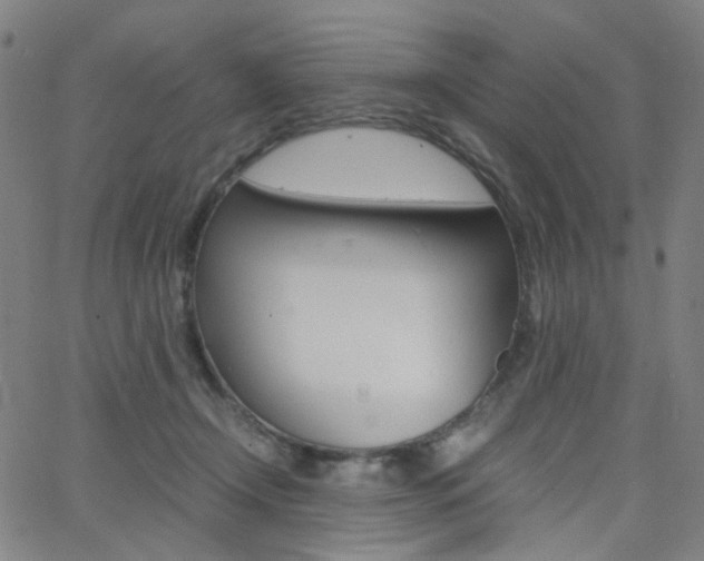 X0000062800366200512221112