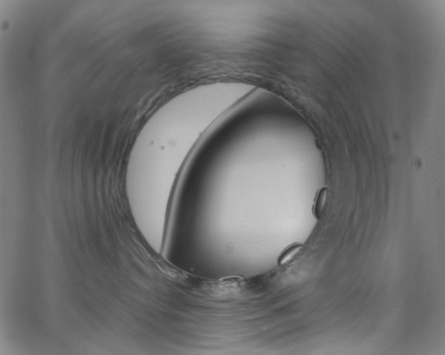X0000062800384200512221113