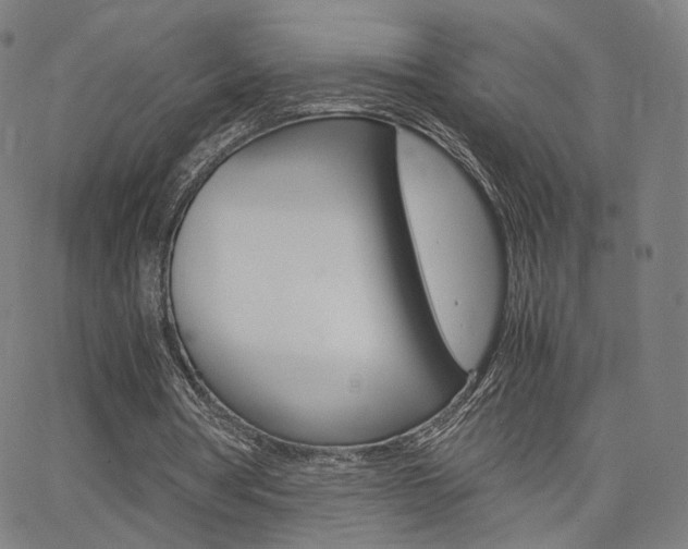 X0000062800386200512221112