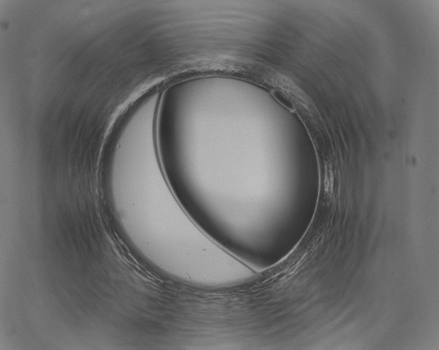 X0000062800388200512221112