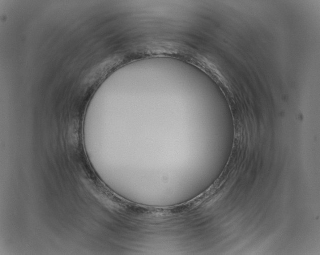 X0000062800402200512221111