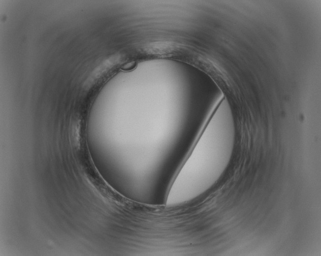 X0000062800404200512221111