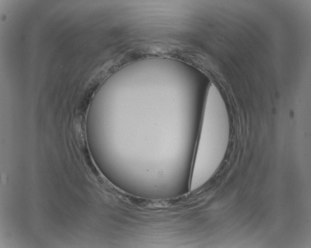 X0000062800415200512221111