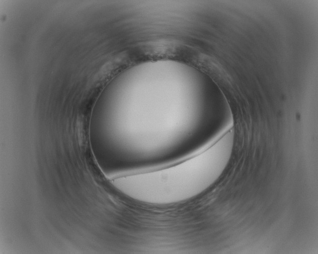 X0000062800416200512221111