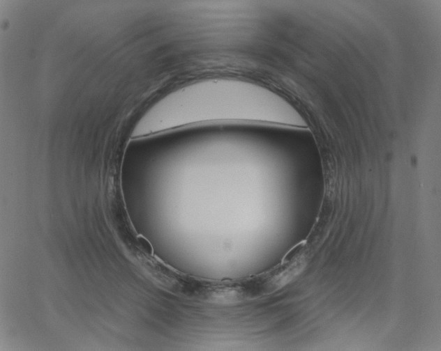 X0000062800456200512221111