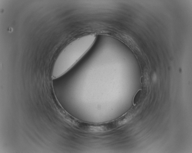 X0000062800457200512221111