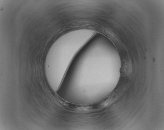 X0000062800461200512221111