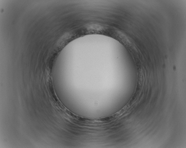 X0000062800463200512221111