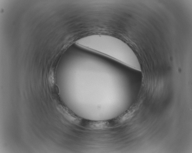 X0000062800479200512221111