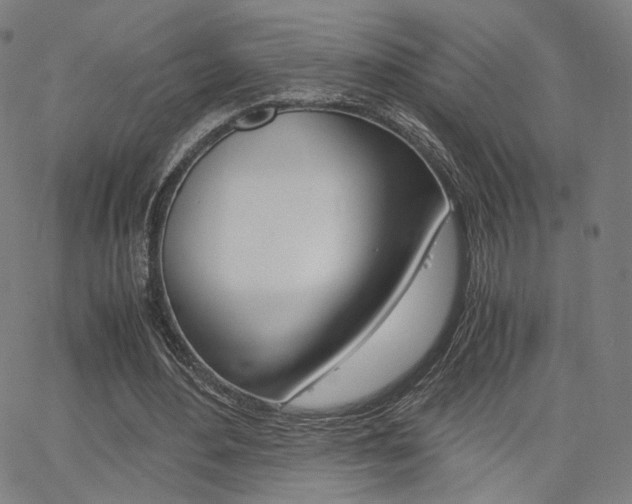 X0000062800484200512221110