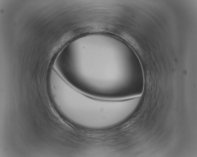X0000062800485200512221110