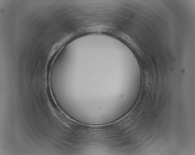 X0000062800486200512221110