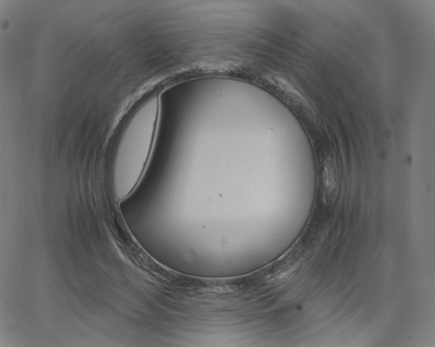 X0000062800492200512221110